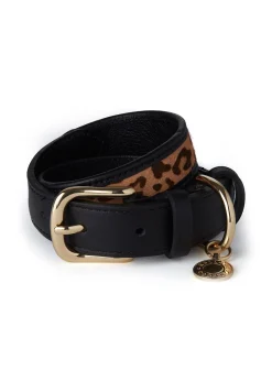 Holland Cooper HC Classic Dog Collar Black & Leopard Pony Clearance
