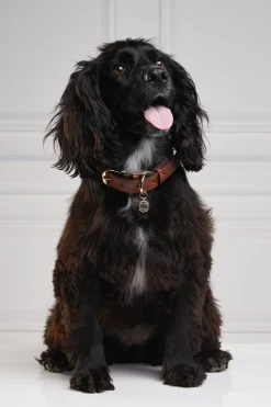 Holland Cooper HC Classic Dog Collar Chestnut & Tweed Clearance