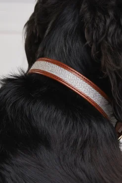 Holland Cooper HC Classic Dog Collar Chestnut & Tweed Clearance