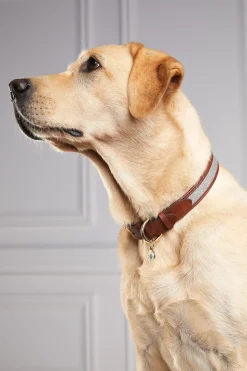 Holland Cooper HC Classic Dog Collar Chestnut & Tweed Clearance
