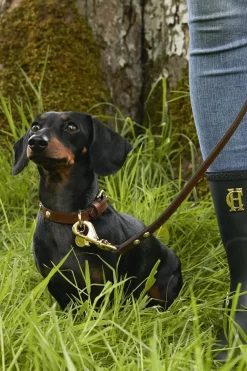 Holland Cooper HC Slim Dog Lead Chestnut Outlet