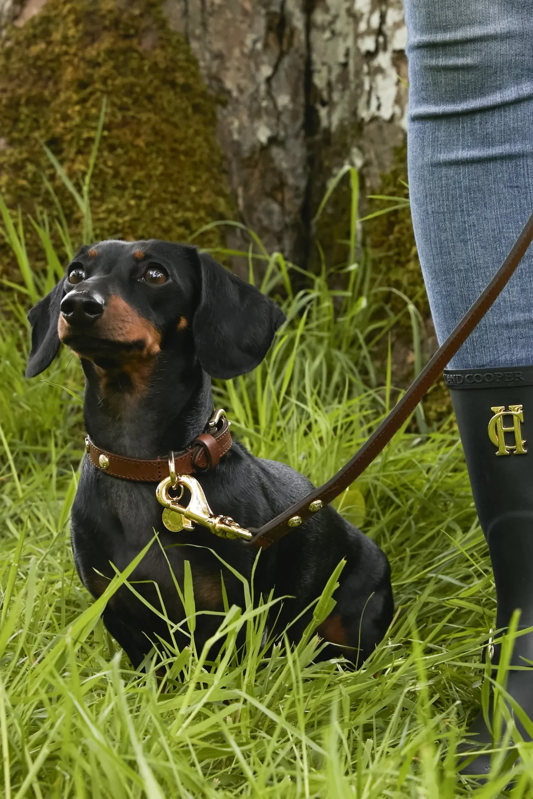 Holland Cooper HC Slim Dog Lead Chestnut Outlet