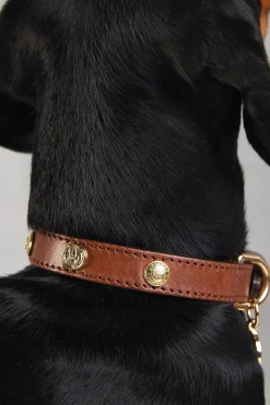 Holland Cooper HC Studded Dog Collar Chestnut Clearance