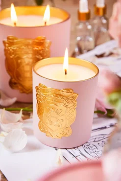 Holland Cooper Single Wick Candle Rose Oud Online