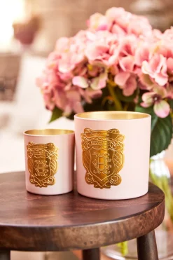 Holland Cooper Single Wick Candle Rose Oud Online